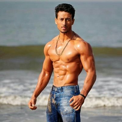 Tiger Shroff body